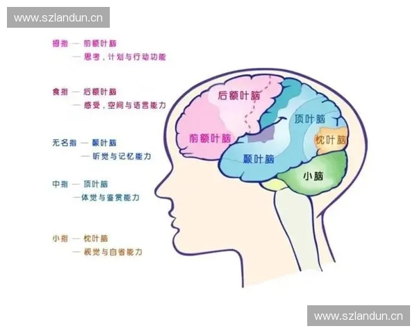 开阔视野提升认知能力探索未知世界的奥秘与人生的新机遇